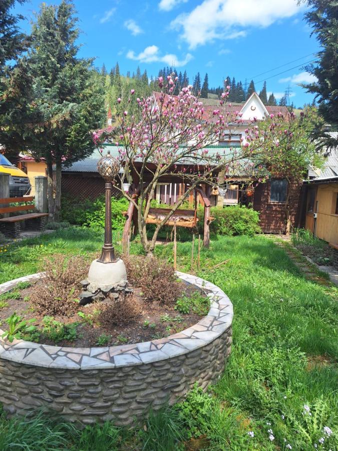 Casa Cu Lavanda Vatra Dornei Eksteriør billede